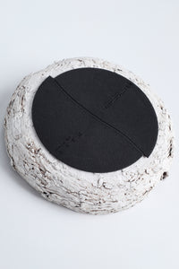 Trilobita Plate