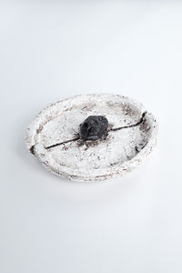 Trilobita Plate