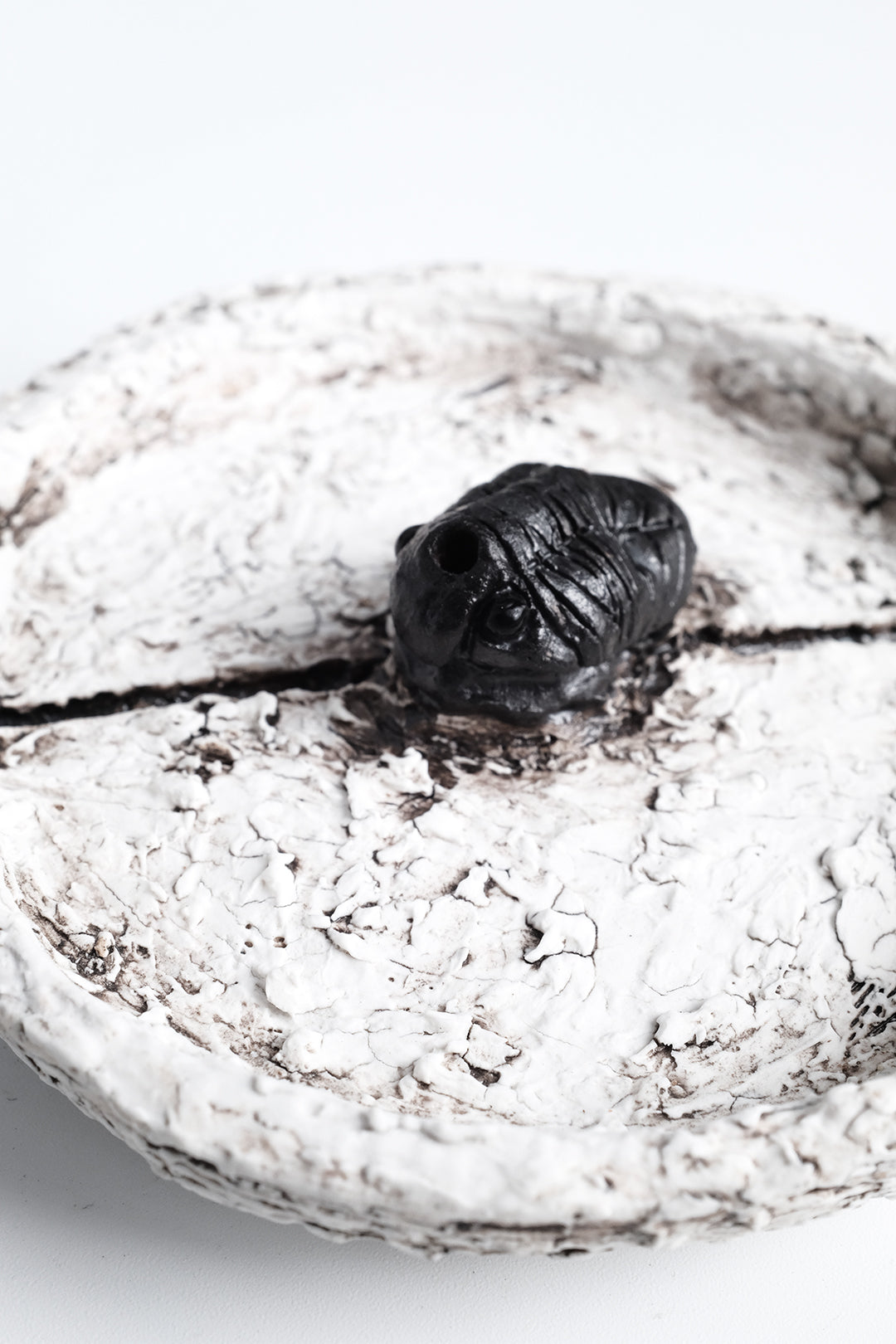Trilobita Plate
